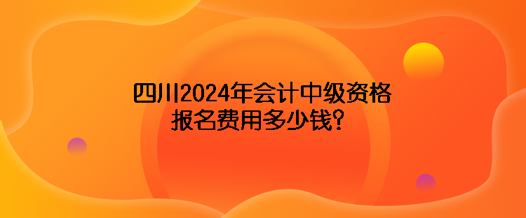 四川2024年會(huì)計(jì)中級(jí)資格報(bào)名費(fèi)用多少錢(qián)？