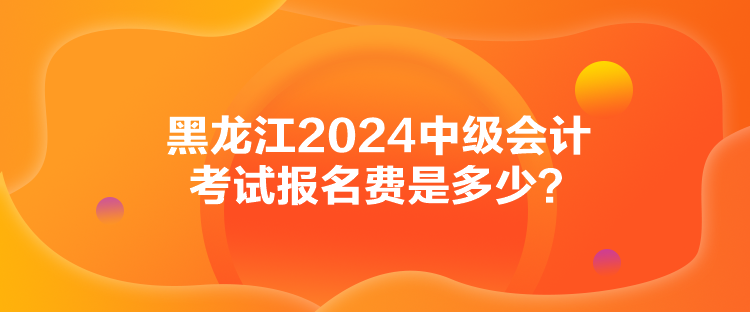 黑龍江2024中級(jí)會(huì)計(jì)考試報(bào)名費(fèi)是多少？