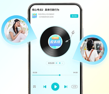 稅務(wù)師核心考點(diǎn)隨身聽(tīng)2