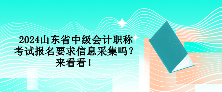 2024山東省中級會(huì)計(jì)職稱考試報(bào)名要求信息采集嗎？來看看！