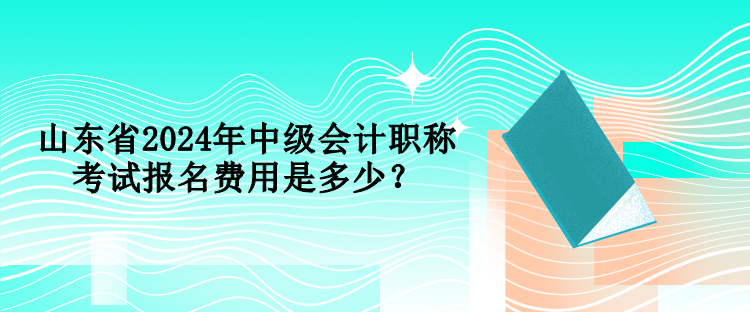 山東省2024年中級(jí)會(huì)計(jì)職稱考試報(bào)名費(fèi)用是多少？