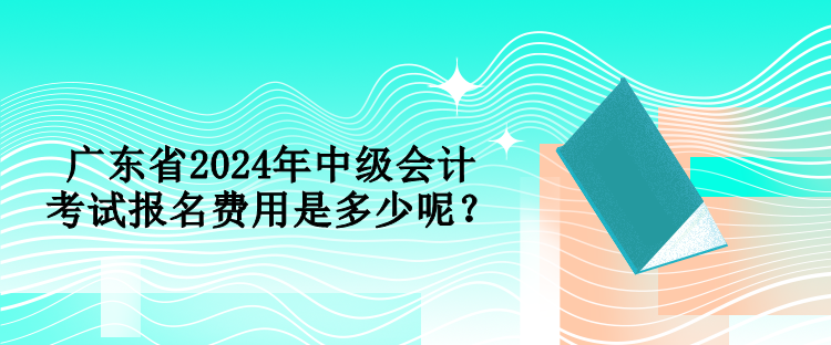 廣東省2024年中級(jí)會(huì)計(jì)考試報(bào)名費(fèi)用是多少呢？