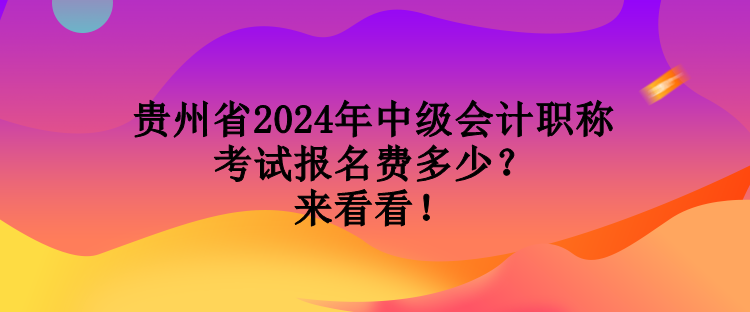 貴州省2024年中級(jí)會(huì)計(jì)職稱考試報(bào)名費(fèi)多少？來看看！