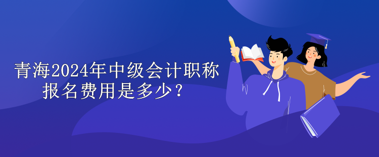 青海2024年中級(jí)會(huì)計(jì)職稱報(bào)名費(fèi)用是多少？