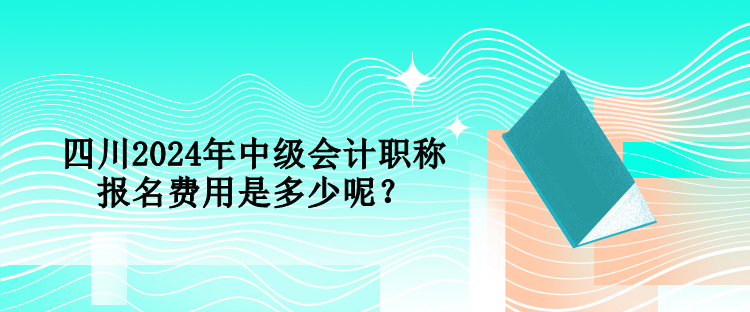 四川2024年中級會計職稱報名費用是多少呢？