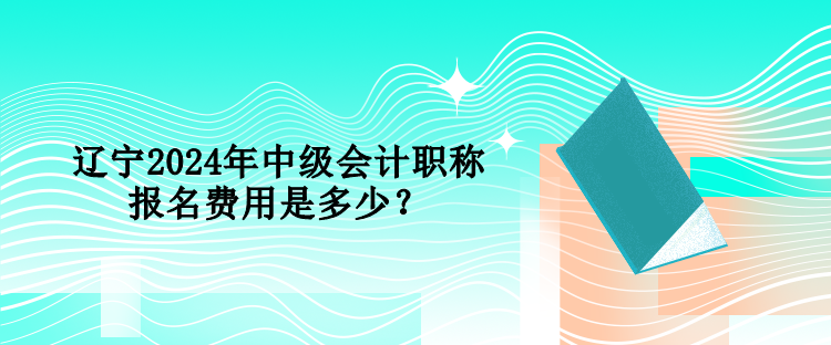 遼寧2024年中級會計職稱報名費用是多少？