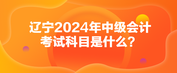 遼寧2024年中級會計考試科目是什么？