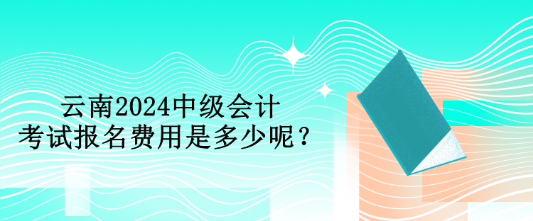 云南2024中級會計考試報名費用是多少呢？