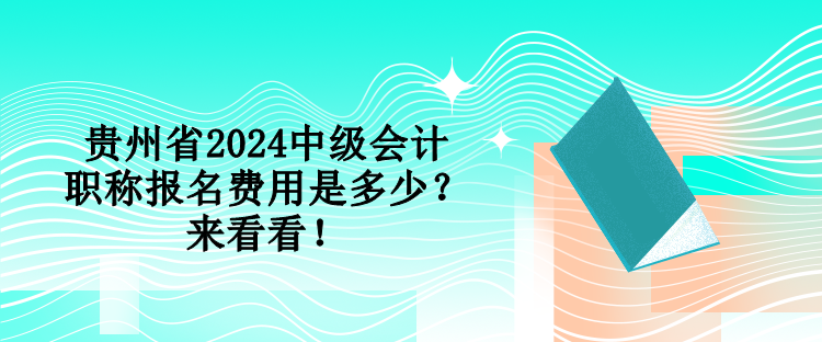 貴州省2024中級(jí)會(huì)計(jì)職稱報(bào)名費(fèi)用是多少？來(lái)看看！