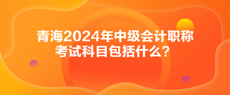 青海2024年中級會計職稱考試科目包括什么？