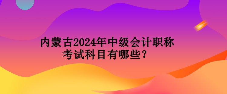 內(nèi)蒙古2024年中級(jí)會(huì)計(jì)職稱考試科目有哪些？